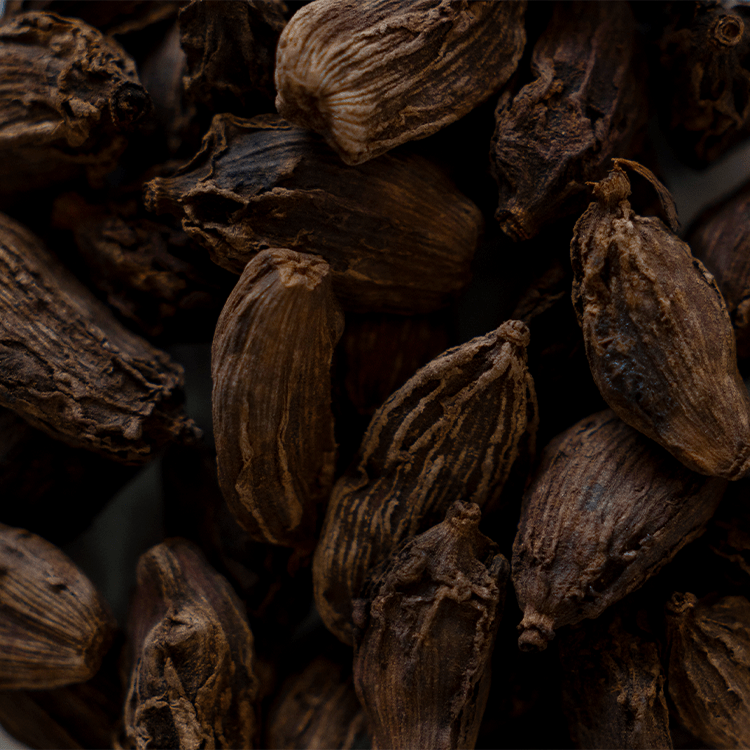 Cardamom | Wholesale