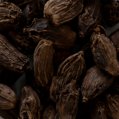 Cardamom | Wholesale